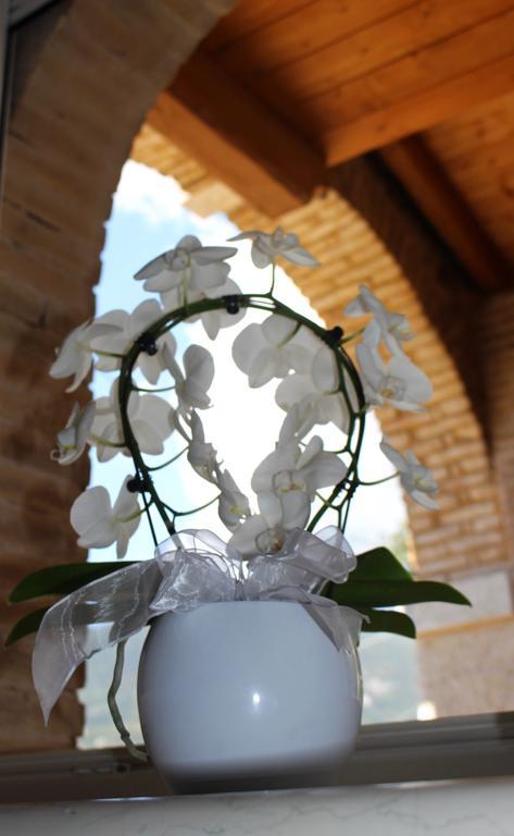 Giardino Degli Ulivi Appartement Caprino Veronese Buitenkant foto