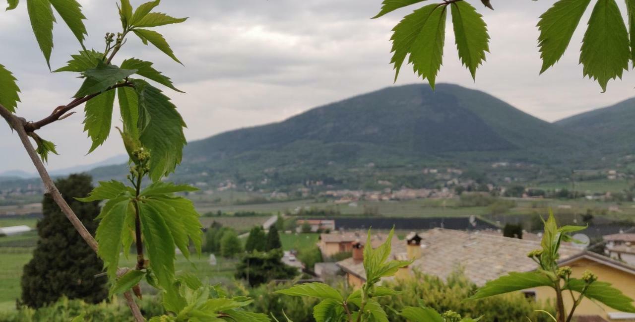 Giardino Degli Ulivi Appartement Caprino Veronese Buitenkant foto
